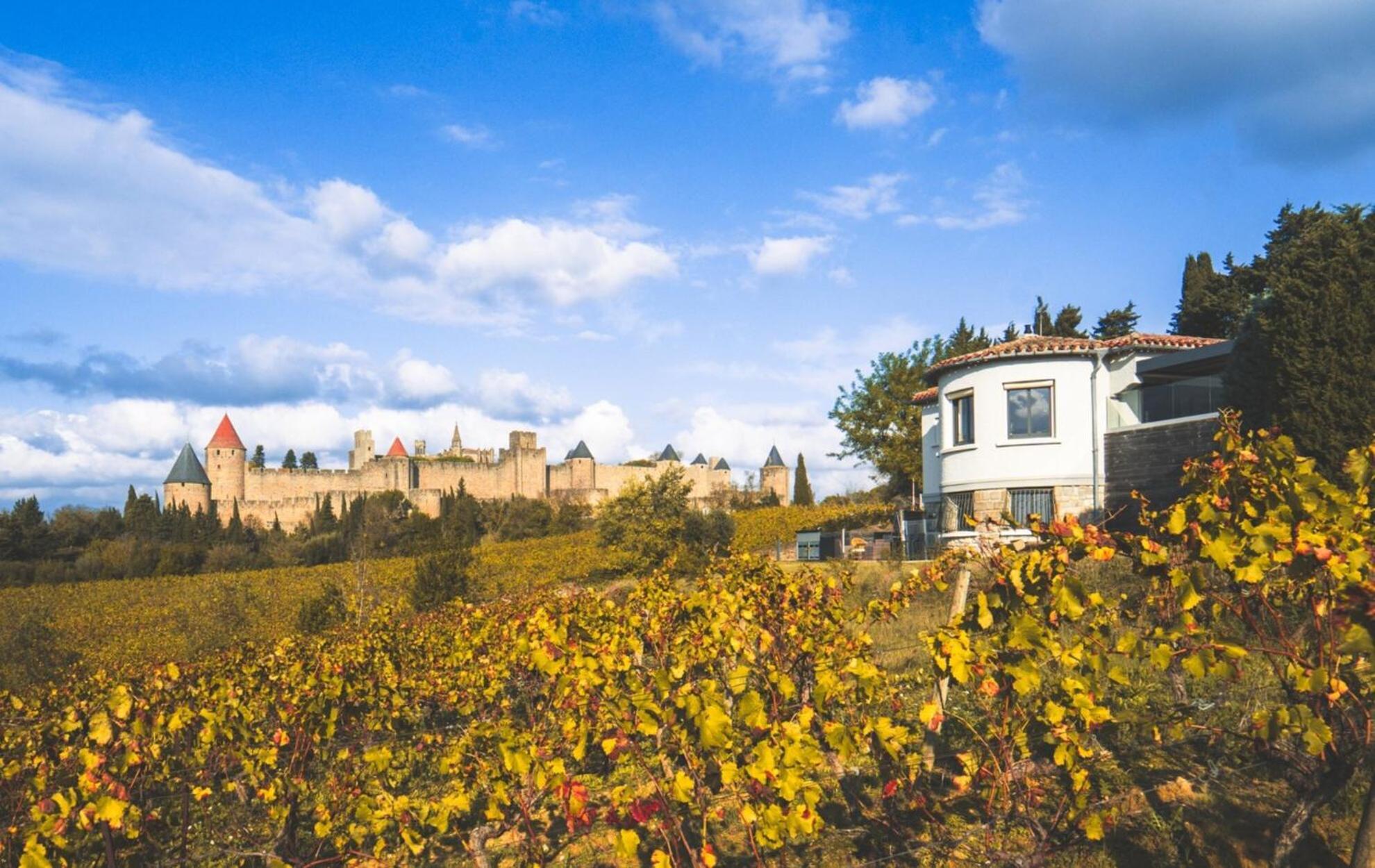 L'Ecrin De La Cite, Coeur De Vignes - Vivez Une Experience Inoubliable ! قرقشونه المظهر الخارجي الصورة
